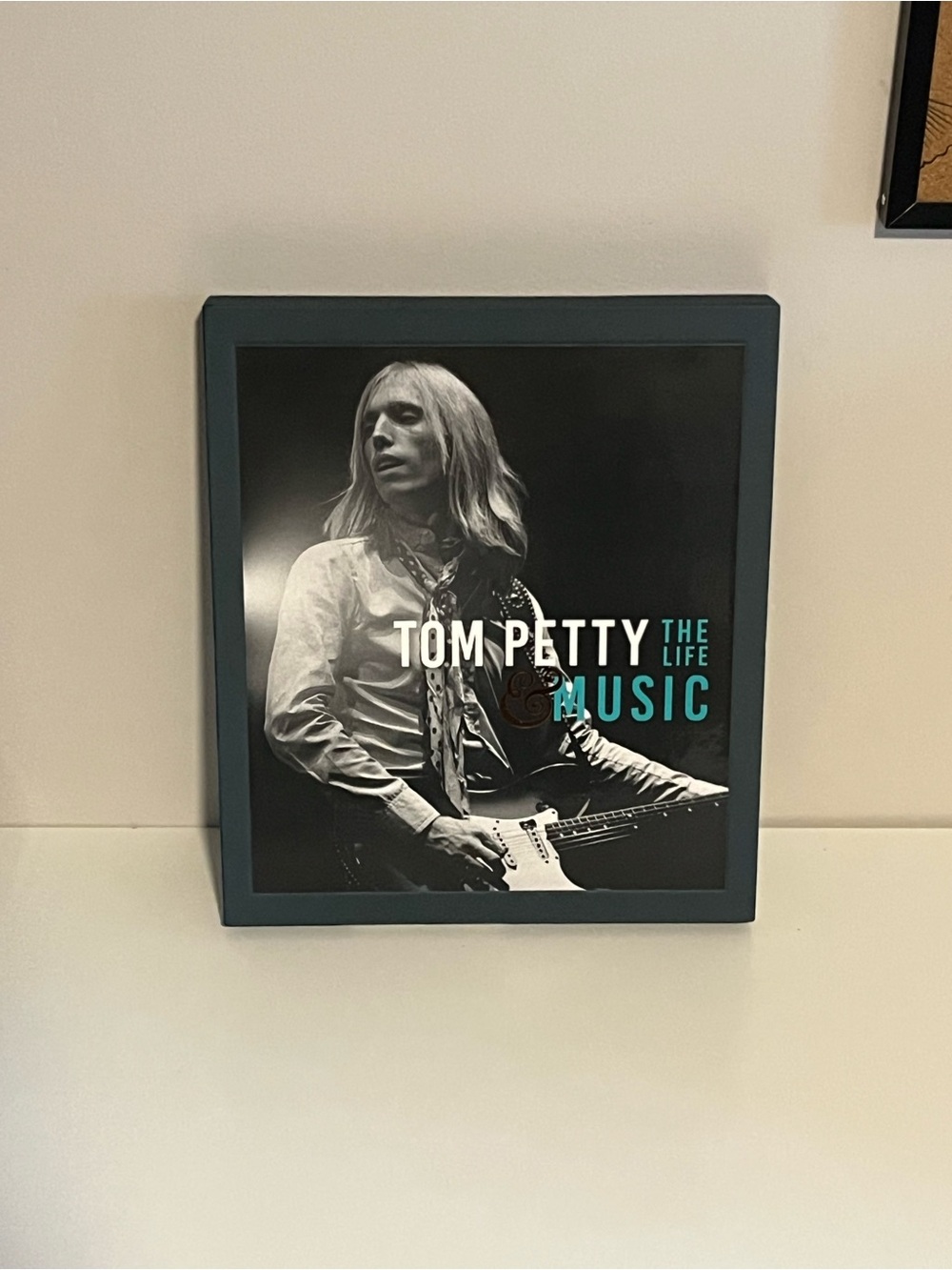 : The Life & Music Framed Wall Art - Teal Frame